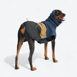 Dog Raincoat - Blue Gold Black