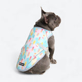 Dog Cooling Vest - Popsicles