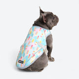 Popsicle Cooling Vest