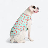 Dog Cooling Vest - Watermelon