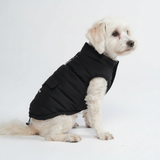 Black Warmshield Jacket||size:M