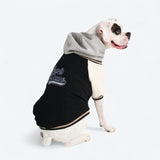 Dog Varsity Jacket - Black