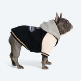 Black Varsity Jacket