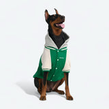 Dog Varsity Jacket - Green