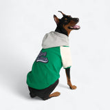 Dog Varsity Jacket - Green