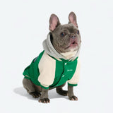 Dog Varsity Jacket - Green