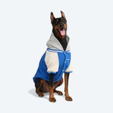 Blue Varsity Jacket