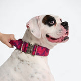 Comfort Control Collar Set - Fuchsia Camo