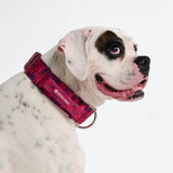 Comfort Control Collar - Fuchsia Camo