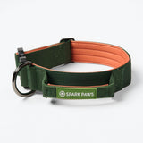 Comfort Control Collar - Green Orange