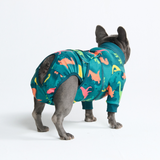 Dinosaurs Surgical Suit||size:S,M,L,XL,2XL,3XL,4XL,5XL