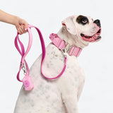 Leash and Poop Bag Holder Set - Pink