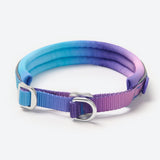 90s Retro Martingale Collar||size:A,B