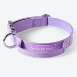 Comfort Control Collar - Lilac