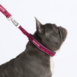 Fuchsia Camo Martingale Collar||size:A,B