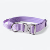 Comfort Control Collar - Lilac