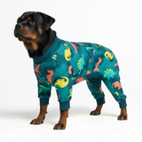 Dinosaurs PJ||size:5XL