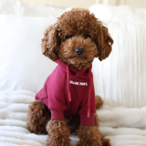 Essential Burgandy Hoodie||size:S,M,L,XL,2XL,3XL,4XL,5XL