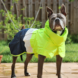 Dog Raincoat - Neon White Navy||size:S,M,L,XL,2XL,3XL,4XL