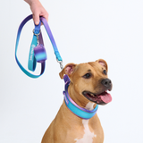 90s Retro Martingale Collar||size:C,D,E