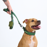 Green Martingale Collar||size:C,D,E