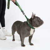 Green Neoprene Leash