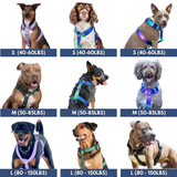 90s Retro Harness||size:S,M,L