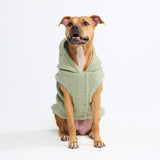 Teddy Sherpa Dog Sweater - Light Green