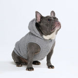 Teddy Sherpa Dog Jacket - Silver Gray