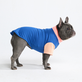 Blue Haiwaiian Shirt||size:S,M,L,XL,2XL,3XL,4XL,5XL