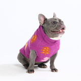Christmas Knit Dog Sweater - Candy Trees Magenta