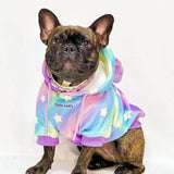 Halloween Dog Hoodie - Unicorn (2)