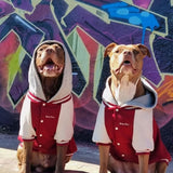Dog Varsity Jacket - Red