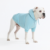 Essential Baby Blue Hoodie||size:3XL