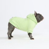 Essential Honey Dew Hoodie||size:L,XL