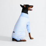 Dog Pajama - Blue Stripes