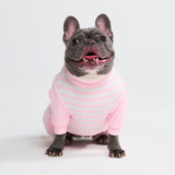 Dog Pajama - Pink Stripes