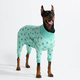 Dog Pajama - Cactus