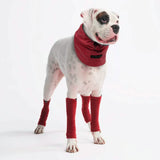 Stretchy Fleece Dog Leg Warmer Sleeves - Red