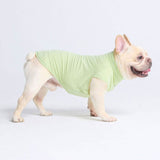 Sunblock Dog T-Shirt - Light Sage