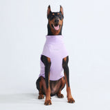 Sunblock Dog T-Shirt - Purple