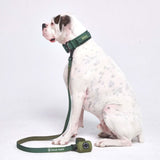 Comfort Control Collar Set - Army Green