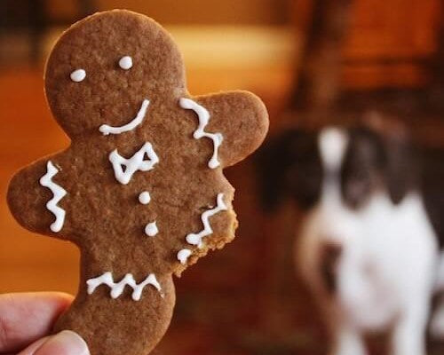 Holiday Recipes for Dogs