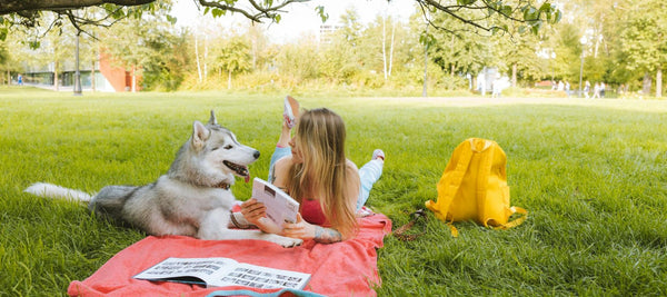 Dog Park Etiquette - The Do’s and Don’t Of Dog Parks