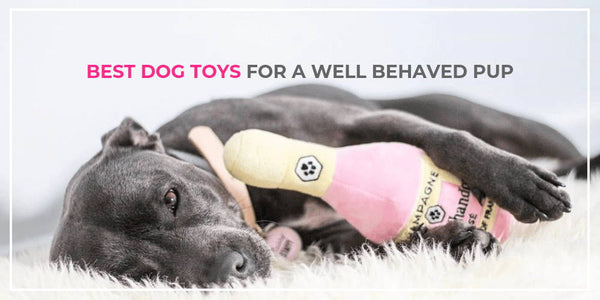Best Dog Toys for a Well-Behaved Pup – Do you have all 4?