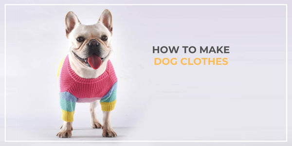How to Make Dog Clothes With Things You Have At Home