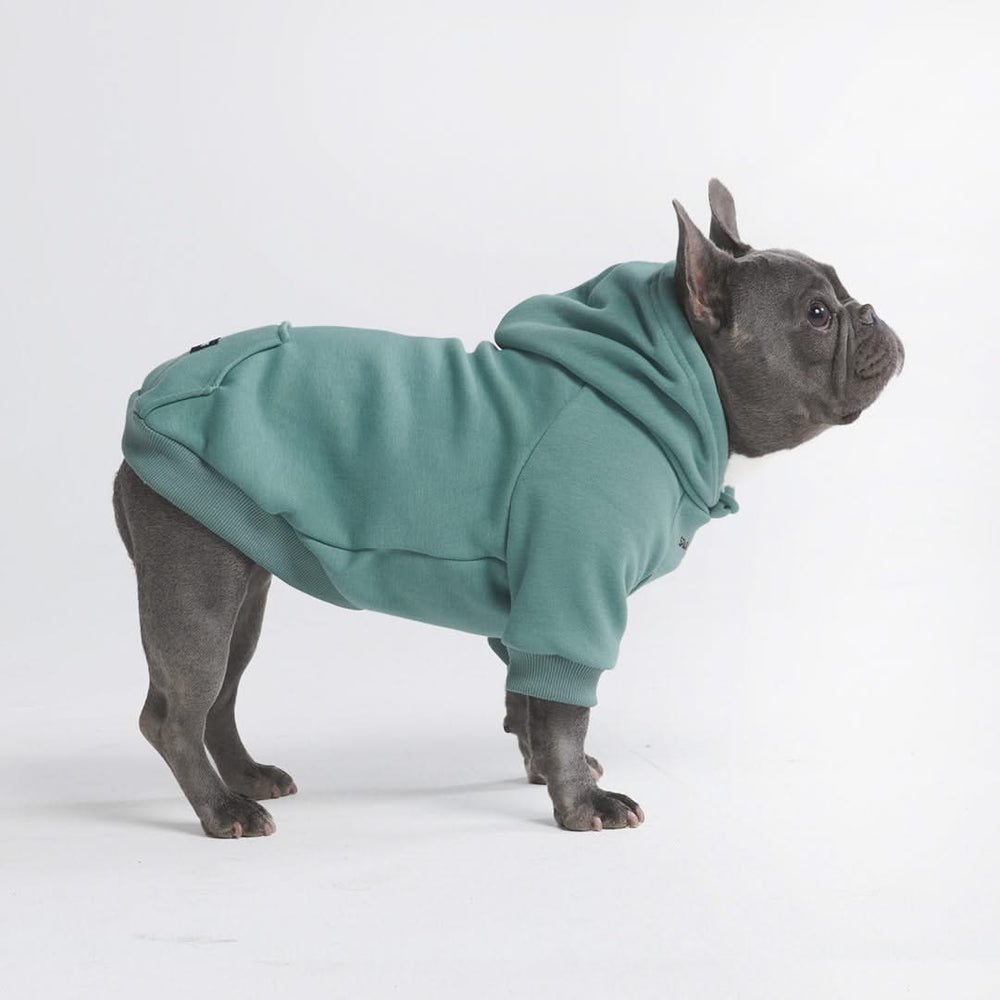 Matching Human and Dog Apparel – SPARK PAWS