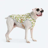 Kiwi Cooling Vest
