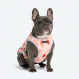 Dog Cooling Vest - Peaches