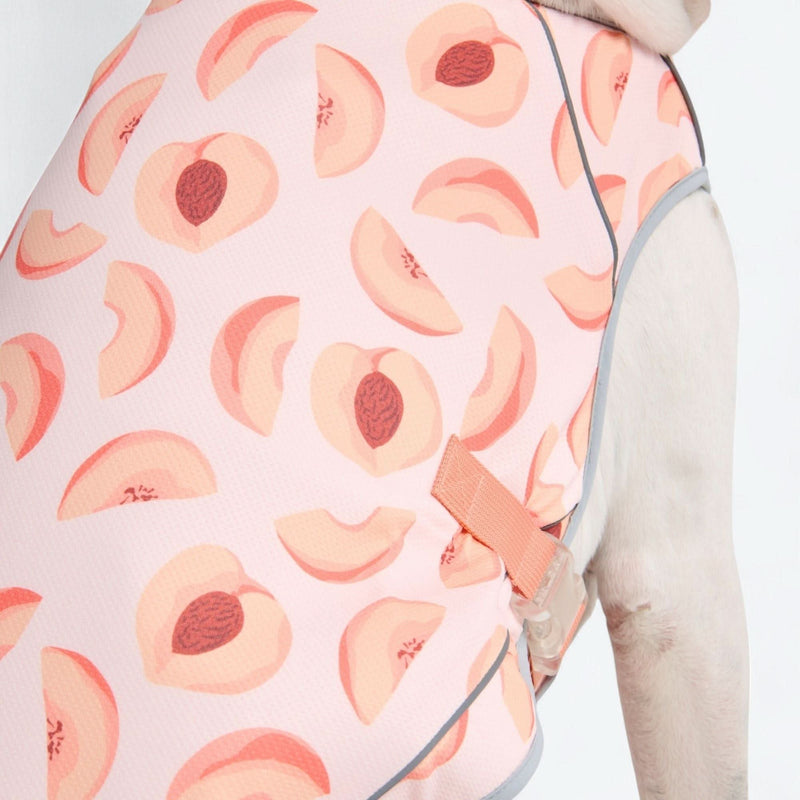 Dog Cooling Vest - Peaches